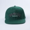 Papillon Snapback Green