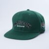 Papillon Snapback Green