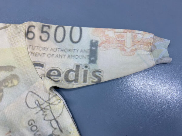 Cedi and a Dream Unisex Hoodie